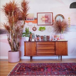 Gorgeous sold out framed print!